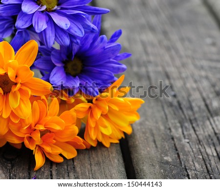 Purple and orange daisy\'s, back is aged wood picnic table.