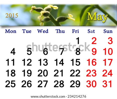 calendar for May of 2015 year with ribbon of blooming walnut