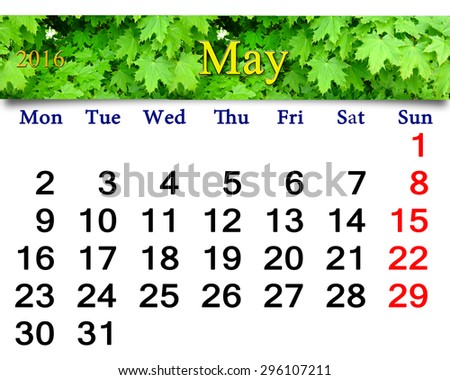 calendar for May of 2016 on the background of green maple