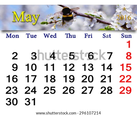 calendar for May 2016 on the background of flying bumblebee