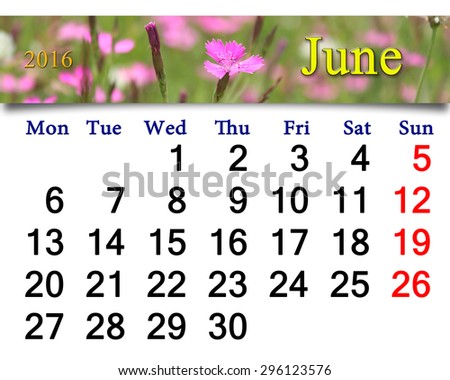 calendar for June 2016 with ribbon of wild carnation