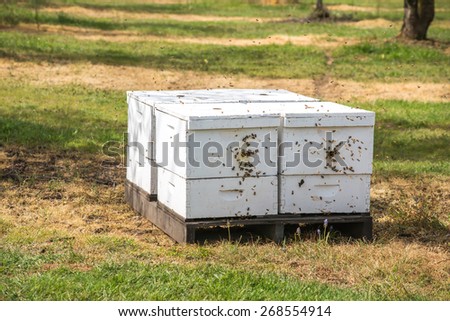 Bee Keeping Hive Boxes