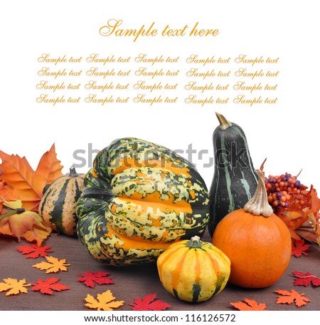 Harvested pumpkins with fall leaves isolated on white