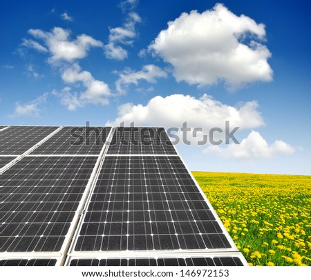 Solar energy panels on dandelion field