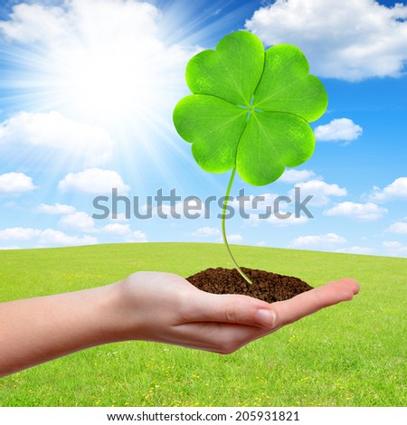 Green clover leaf in hand