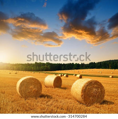 Straw bales on farmland at sunset