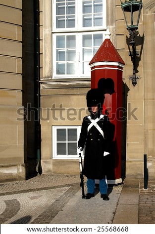 COPENHAGEN - FEBRUARY 24: Unknown Danish Royal Life Guard posted at Amalienborg Palace in Copenhagen, Denmark on February 24, 2009. Royal Life Guards is an infantry regiment of Royal Danish Army.