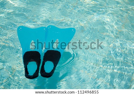 Blue and black fins in the turquoise swimming pool