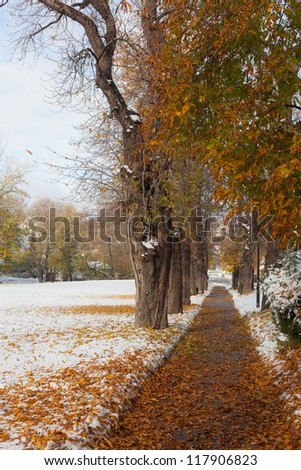 Bronze and gold leaves on the trees. View of the park. Snow on the ground. Colorful.