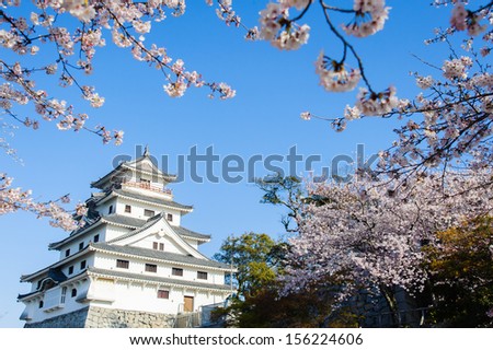 Japan castle in spring pink cherry blossoms flower shot in japan