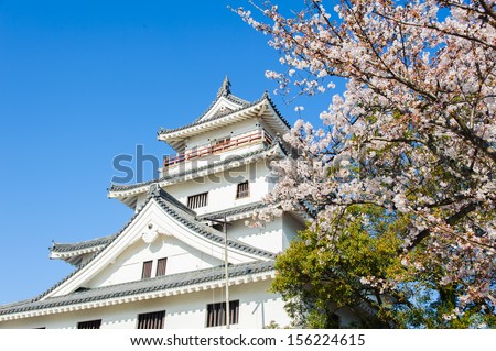 Japan castle in spring pink cherry blossoms flower shot in japan