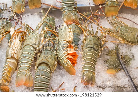 spiny lobster in ice tray at Thailand market