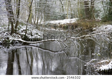 A river scene with a tree down and everything covered in a dusting of snow