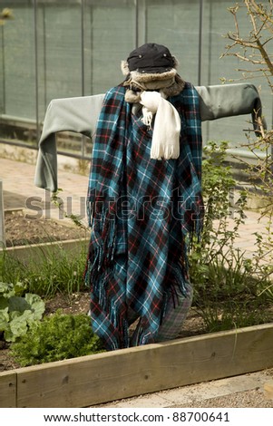 A home made scarecrow in a vegetable herb garden. Taken in vertical format.