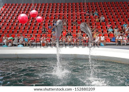 VARNA, BULGARIA - JULY 11: Dolphins in dolphinarium during the performance l on July 11, 2013 in Varna