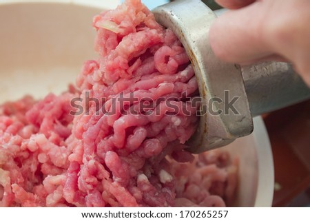 meat and meat grinder