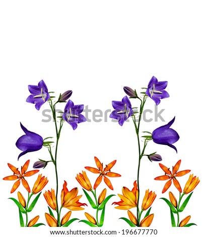 pattern of lily flowers isolated on white background
