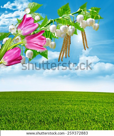 Summer landscape. Birch branch and sunflowers on a background of blue sky with clouds. tulip