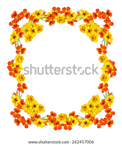 round frame with nasturtium flowers