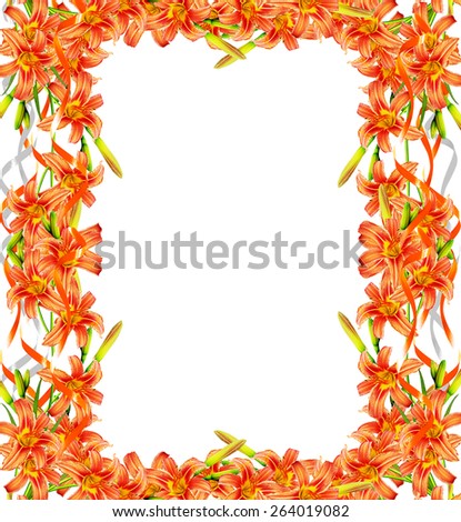 bouquet of lily flowers isolated on white background. frame