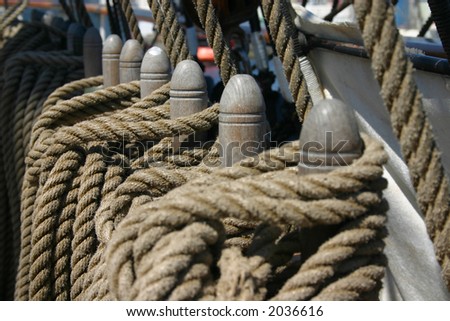 Row of ropes tied around wooden cleat (focus on the middle)