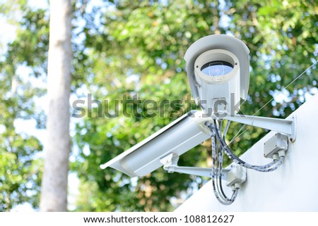 security camera on the fence next to the jungle