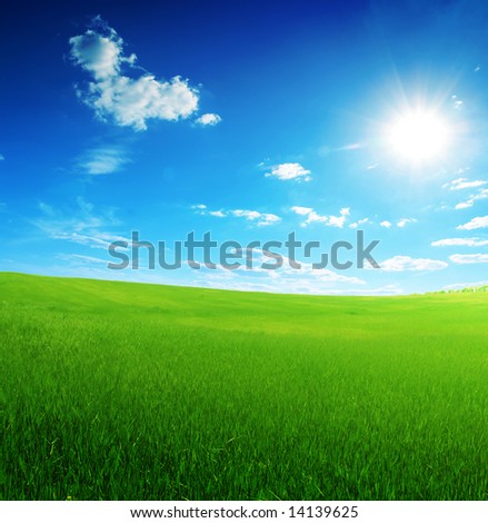 blue sky green grass. green grass and sun lue
