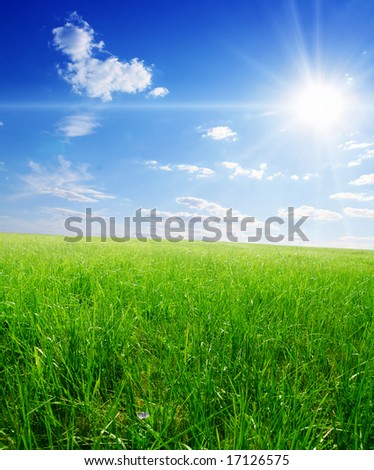 field of green grass and blue sun sky