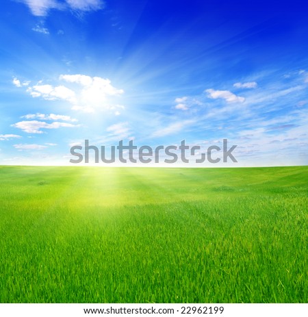 images of sun in sky. green field and sun sky