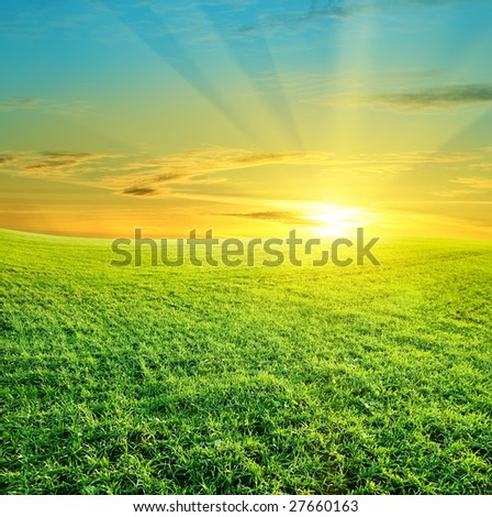 green field and beautiful sunset