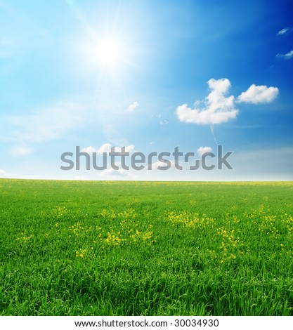 green grass and sun sky - after a rain