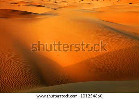 Abstract sand pattern in Thar Desert, India