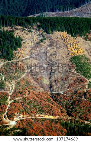 Alpine Deforestation