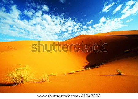 Sand dunes in Sahara Desert, Africa