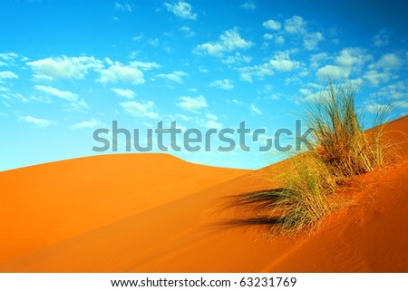 Africa Sand Dunes