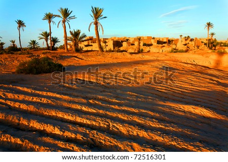 stock photo : Oasis in Sahara