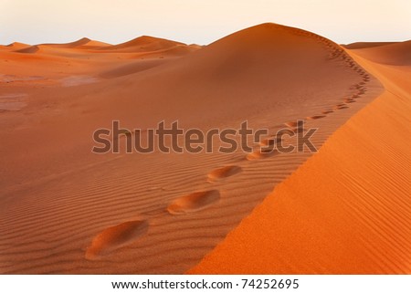 Steps in Sahara Desert, Africa
