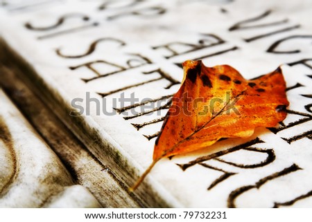 Fallen leaf in autumn on a marble grave
