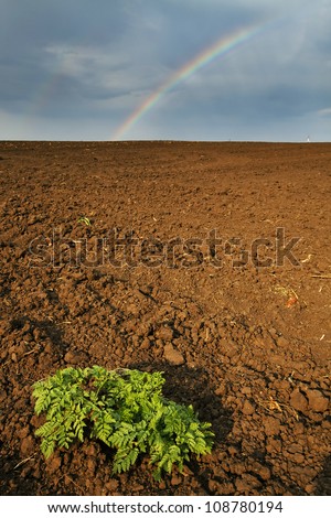 Ploughed land under stormy sky with a rainbow