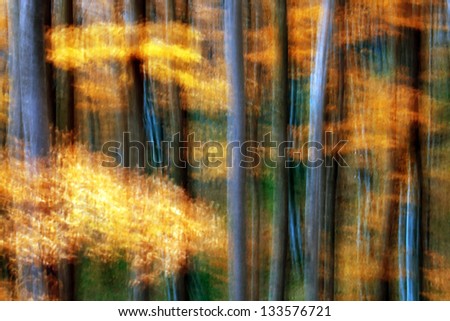 Abstract forest landscape