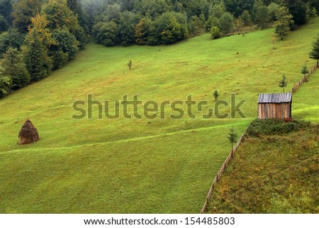 Alpine cottage an an alpine meadow