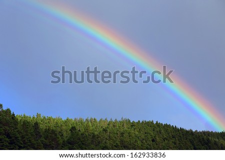 Rainbow above a forest in Highlands of Scotland, Cuillin Mountains, Europe