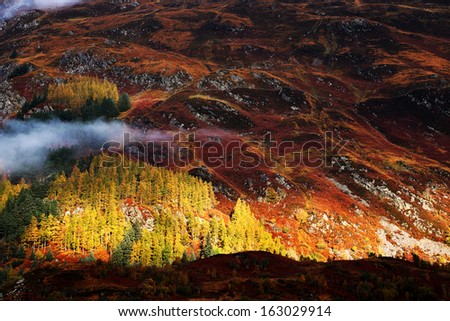 Autumn colours in Highlands, Scotland, Europe