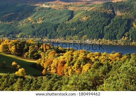 Autumn magic forest on the shores of Lochness, Scotland, Europe