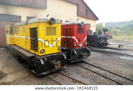 Mocanita touristic train - The last forestry steam working train in Europe - Romania, Maramures