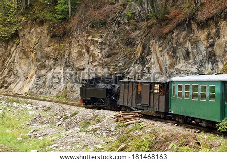 Mocanita touristic train - The last forestry steam working train in Europe - Romania, Maramures