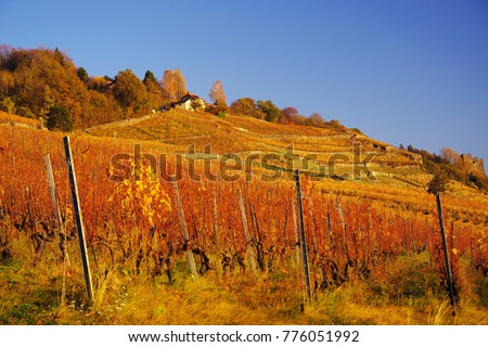 Vineyard terraces in the famous Lavaux wine region (UNESCO World Heritage Site since 2007) overlooking the northern shores of Lake Geneva, Canton of Vaud, Switzerland