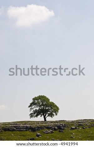 Single Tree on Horizon, With Single Matching Cloud above with Blue Sky. On Malham Moor in the Yorkshire Dales