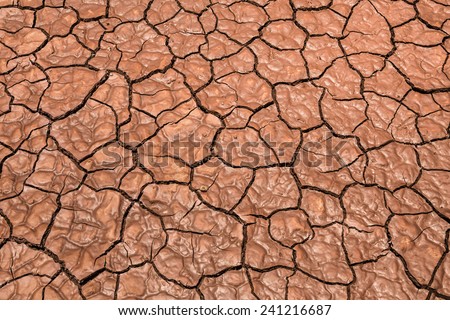 dried cracked mud texture