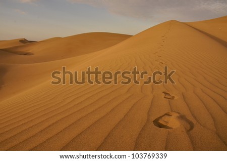 Lonely Path desert